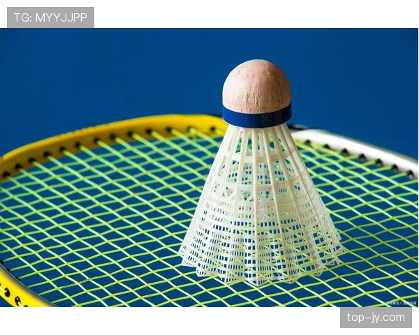 出界规则：球完全越线才算出界，最后触球方决定发球方式